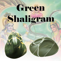 Green Shaligrams